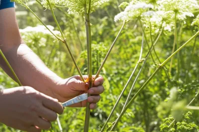 Illustration laser - Image 1