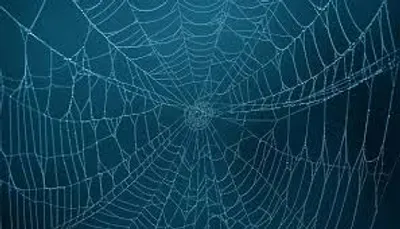 Illustration web - Image 3