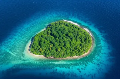 Illustration bounding - Image 1