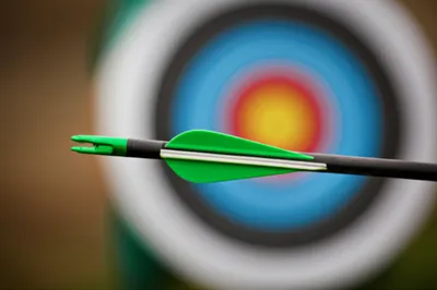 Illustration feathers - Image 1