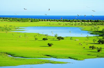 Illustration inning - Image 1