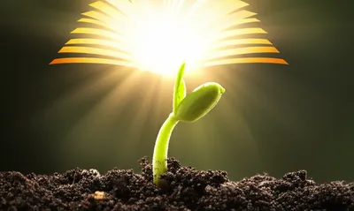 Illustration starting - Image 1