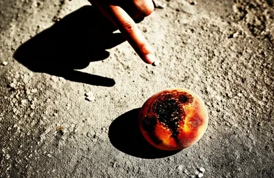 Illustration peach - Image 1