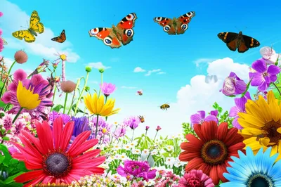 Illustration positivity - Image 1