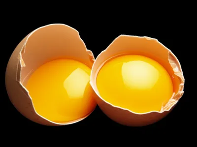 Illustration twins - Image 1