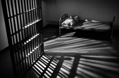 Illustration jigger - Image 1