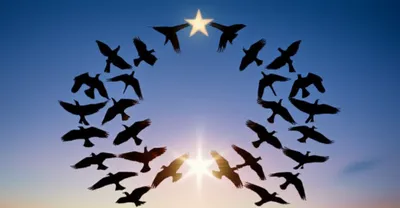 Illustration bracket - Image 1