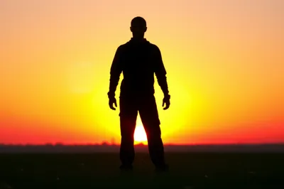 Illustration lions - Image 1