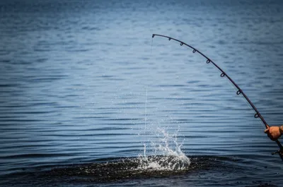 Illustration lashes - Image 1