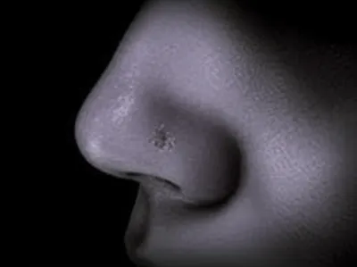 Illustration sniffs - Image 1