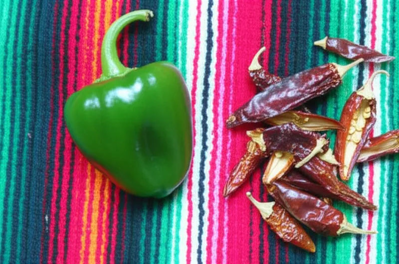 Ilustración visual de la palabra "poblano" - Chile poblano