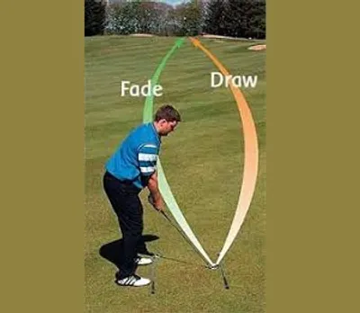 Illustration fade - Image 2