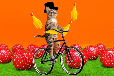 Illustration nonsense - Image 1