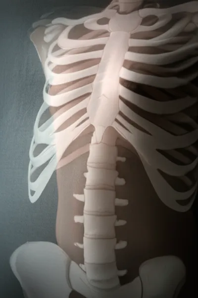 Illustration ribbed - Image 1