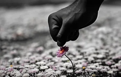 Illustration wronging - Image 1