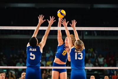 Illustration screenings - Image 1