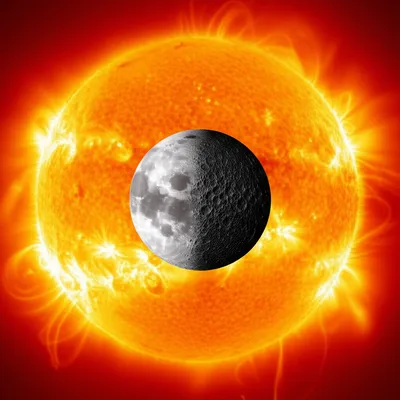 Illustration waxing - Image 1