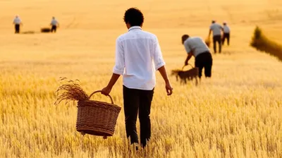 Illustration stints - Image 1