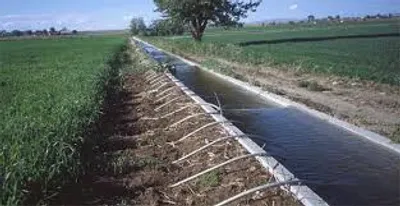 Illustration irrigate - Image 2