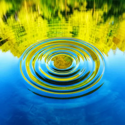 Illustration portal - Image 1