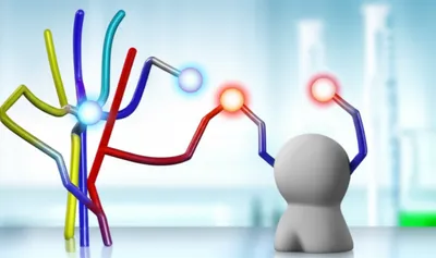 Illustration donors - Image 1