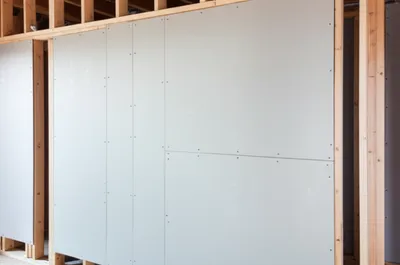 Illustration gib - Image 1