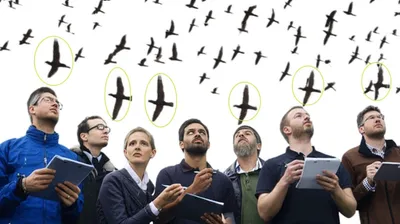 Illustration counted - Image 1