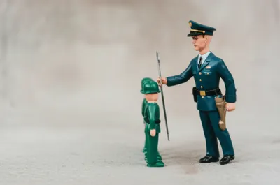 Illustration martinet - Image 1