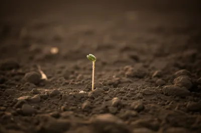 Illustration lo - Image 1