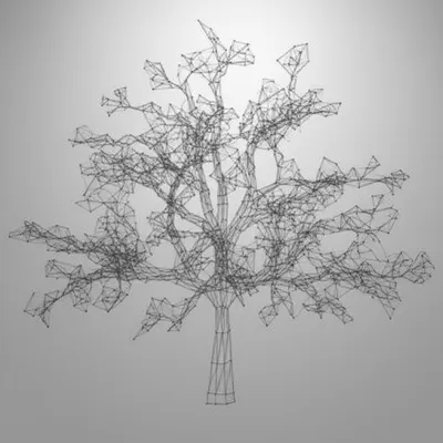 Illustration skeletons - Image 1