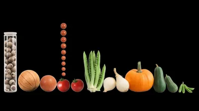 Illustration size - Image 1