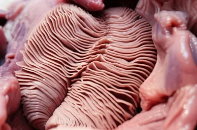 Illustration manifolds - Image 1