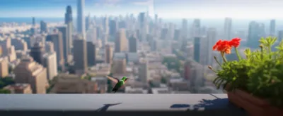 Illustration details