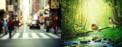 Illustration meanwhile - Image 1