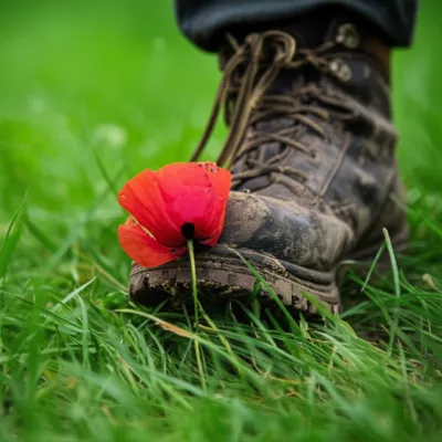 Illustration tramples - Image 1