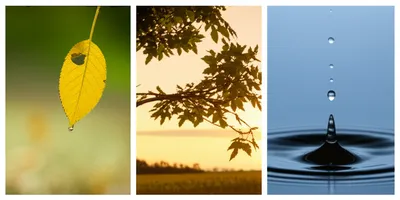 Illustration phenomenon - Image 1