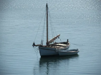 Illustration bark - Image 1