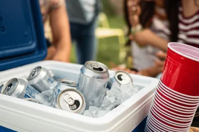 Illustration swill - Image 1