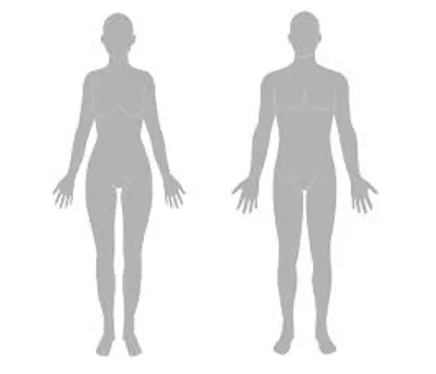 Illustration corporal - Image 3