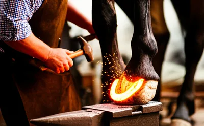 Illustration commit - Image 1