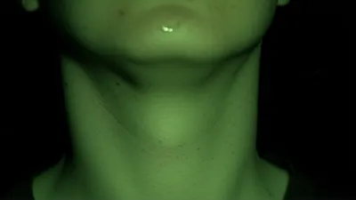 Illustration gulp - Image 1