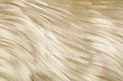 Illustration fleece - Image 1