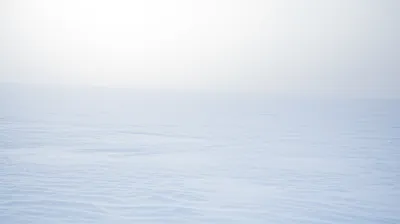 Illustration coldest - Image 1