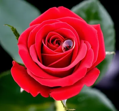 Illustration faux - Image 1