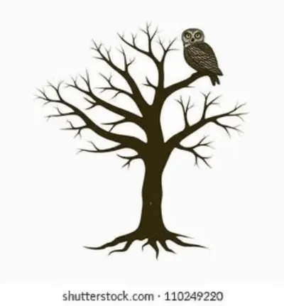 Illustration eldest - Image 1