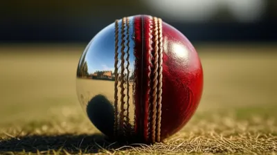 Illustration shine - Image 1