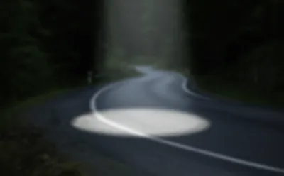 Illustration dere - Image 1