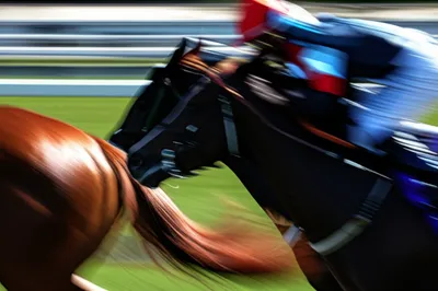 Illustration shading - Image 1