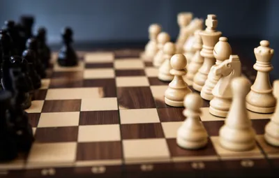 Illustration kingside - Image 1