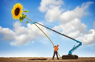 Illustration booming - Image 1